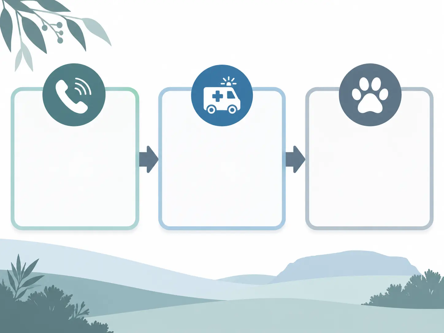 Three-step safety response illustration showing a phone, emergency ambulance and pet paw icons
